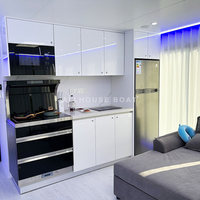 Robust Construction Luxury Pontoon Boat Aluminum Houseboats Custom Design