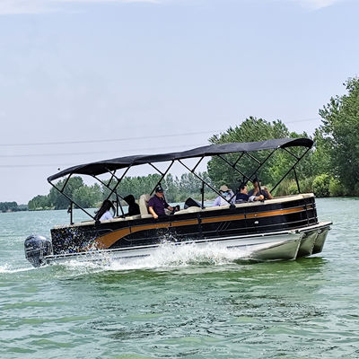 25ft Classic Elegance Pontoon Boat 10 people In Black Bronze & Gold Accents