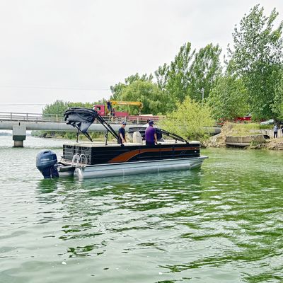 25ft Classic Elegance Pontoon Boat 10 people In Black Bronze & Gold Accents
