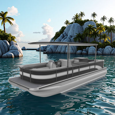 27 Fuß Längen Luxus schwarz-weiß Pontoonboot mit 2,3/2,6m Breite und 0,635m Tube Durchmesser